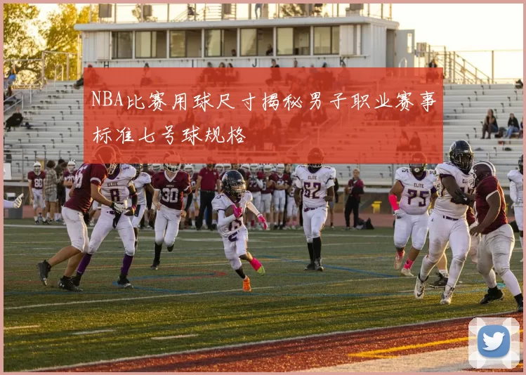 NBA比赛用球尺寸揭秘男子职业赛事标准七号球规格