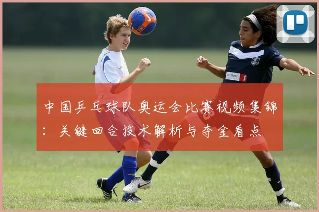 中国乒乓球队奥运会比赛视频集锦：关键回合技术解析与夺金看点