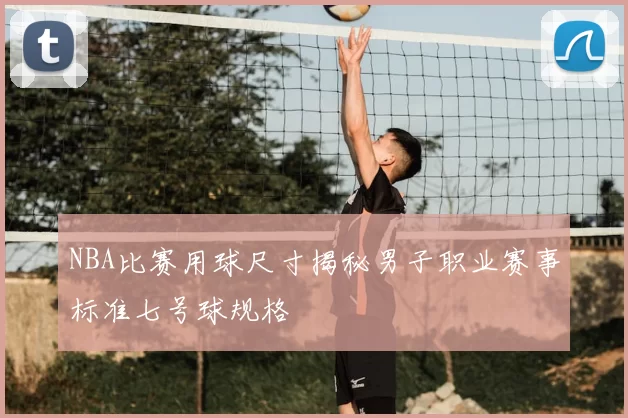 NBA比赛用球尺寸揭秘男子职业赛事标准七号球规格