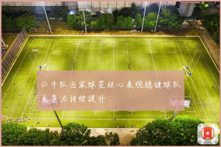 公牛队当家球星核心表现稳健球队竞争力持续提升